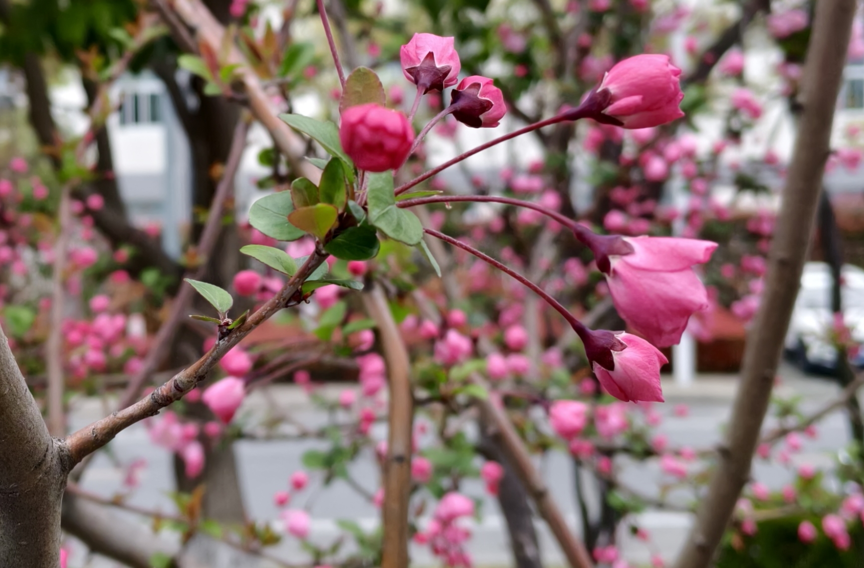 AI发展突飞猛进,我也终于利用AI解决了推送文章的问题