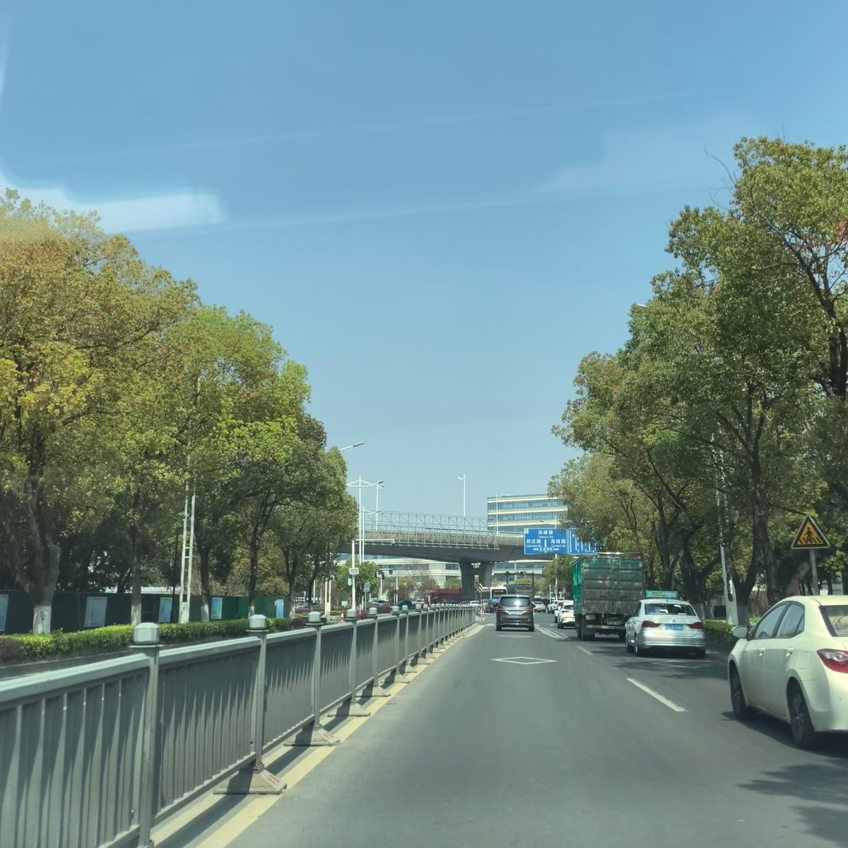 风清柏翠,土黄菊白,情郁形哀,思念氤氤……