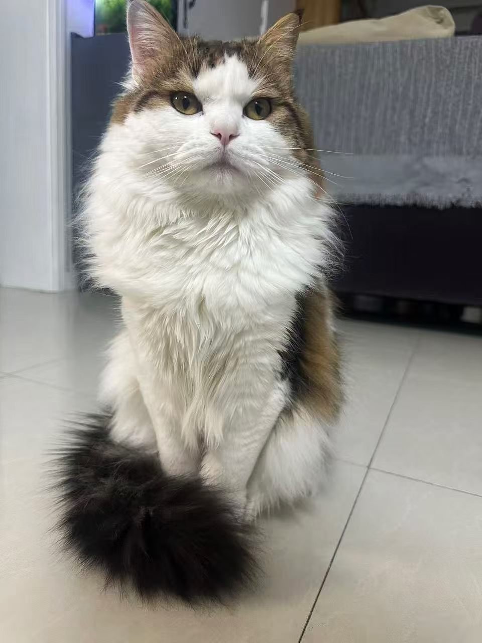 长开一点了[强]