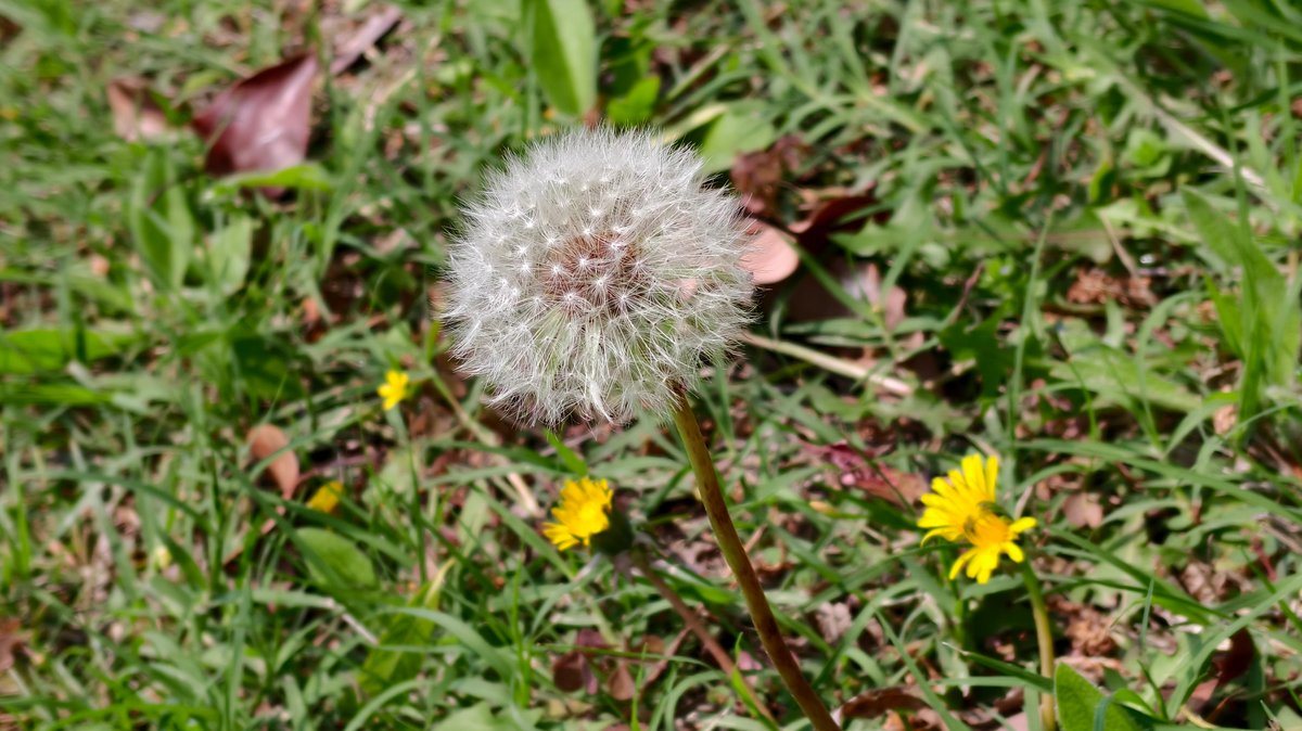 近朱者赤，近墨者黑，近AI者悴！