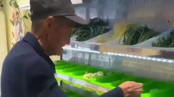 热搜配图