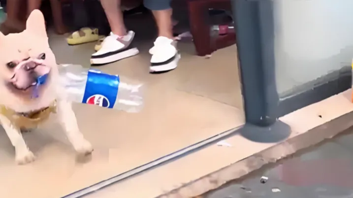 热搜配图