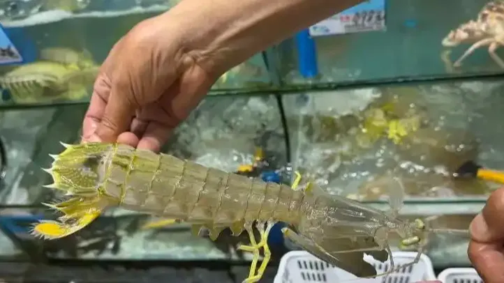 热搜配图