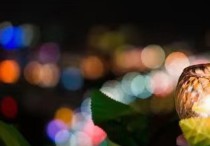 日子之所以伟大，是因为与之相关的人或事