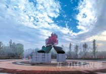 牡丹盛开柏乡城（我与一座城）