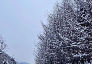 江北的雪